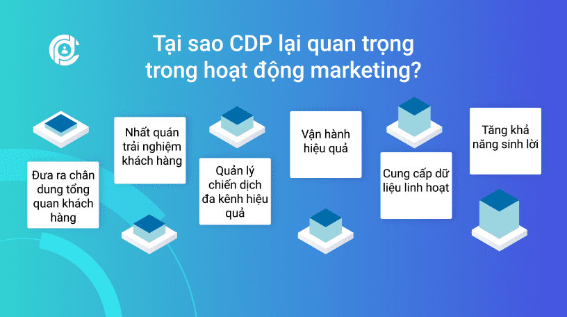 tai-sao-cdp-quan-trong-trong-marketing